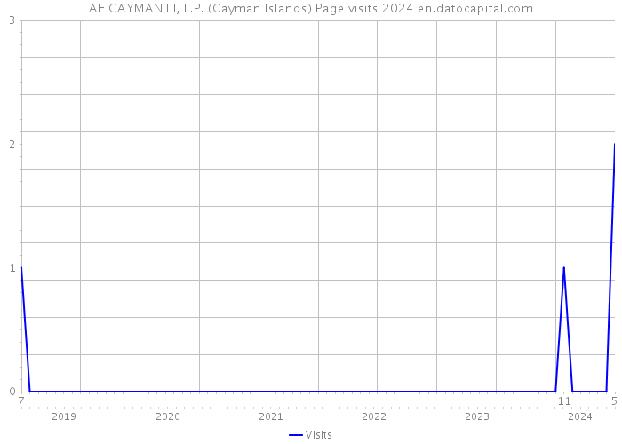 AE CAYMAN III, L.P. (Cayman Islands) Page visits 2024 