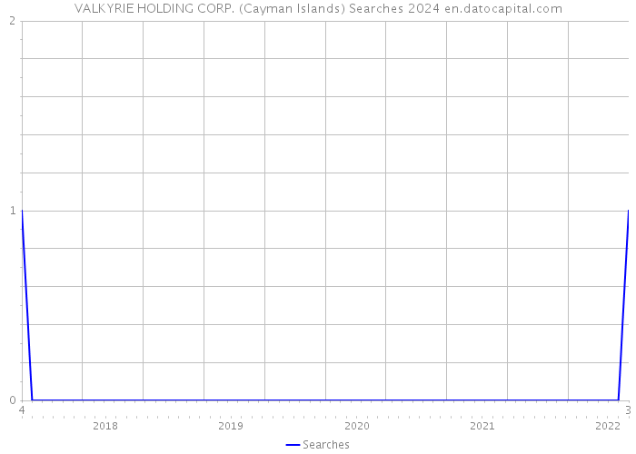 VALKYRIE HOLDING CORP. (Cayman Islands) Searches 2024 