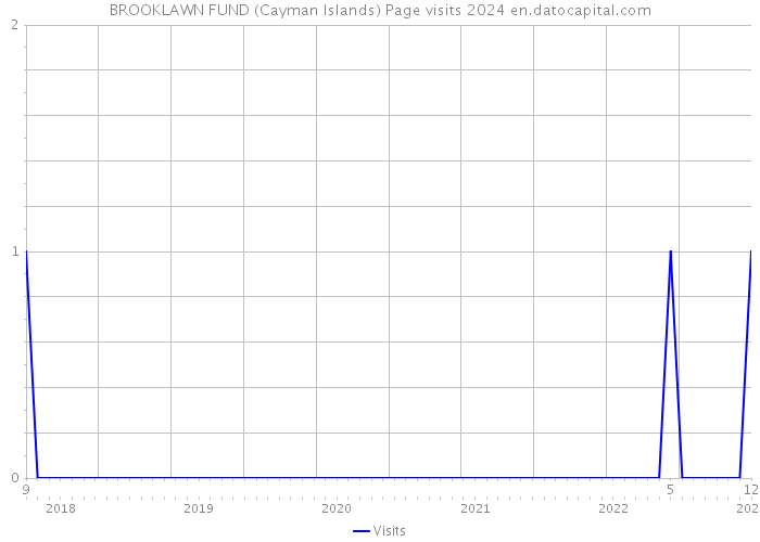 BROOKLAWN FUND (Cayman Islands) Page visits 2024 