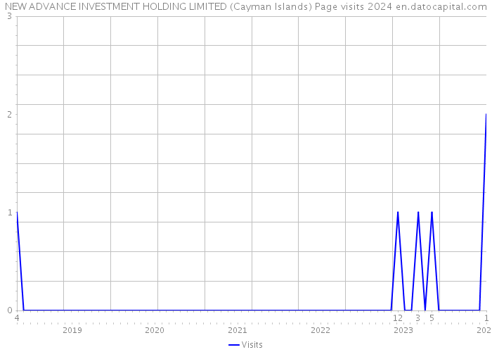 NEW ADVANCE INVESTMENT HOLDING LIMITED (Cayman Islands) Page visits 2024 