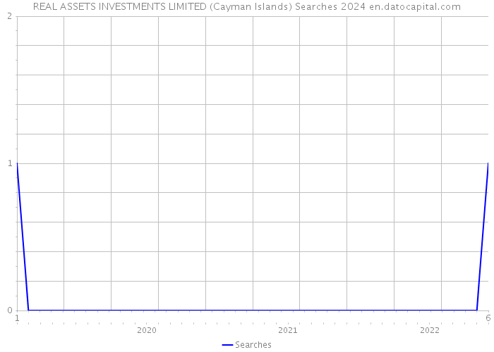 REAL ASSETS INVESTMENTS LIMITED (Cayman Islands) Searches 2024 