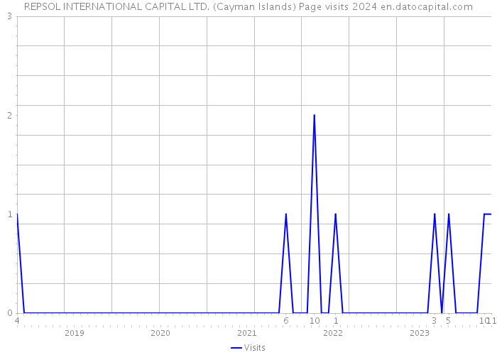 REPSOL INTERNATIONAL CAPITAL LTD. (Cayman Islands) Page visits 2024 