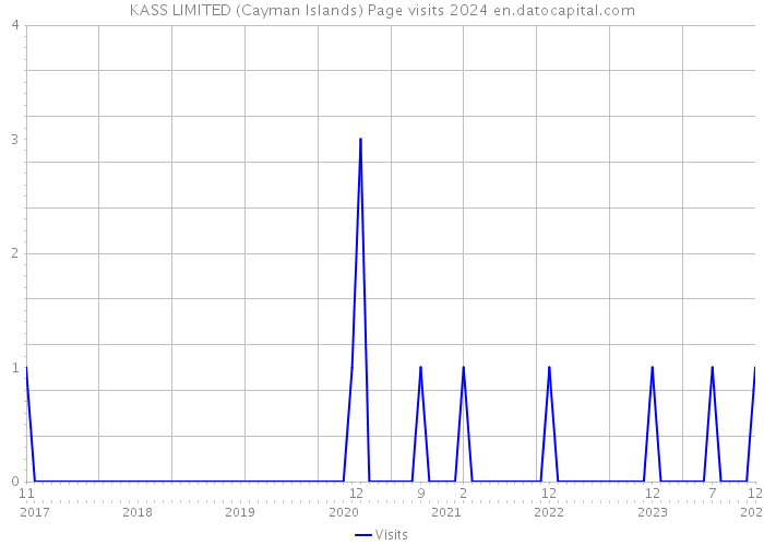 KASS LIMITED (Cayman Islands) Page visits 2024 
