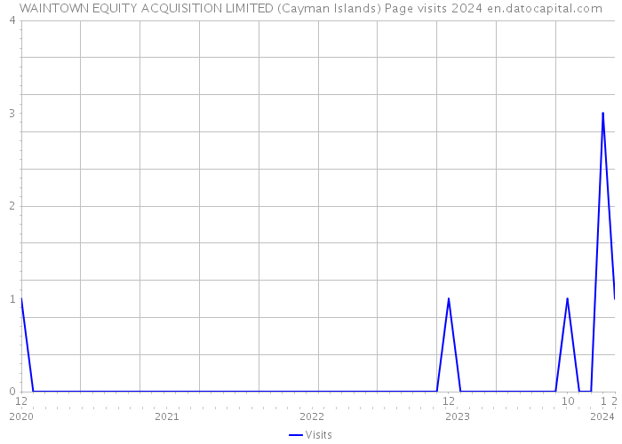 WAINTOWN EQUITY ACQUISITION LIMITED (Cayman Islands) Page visits 2024 