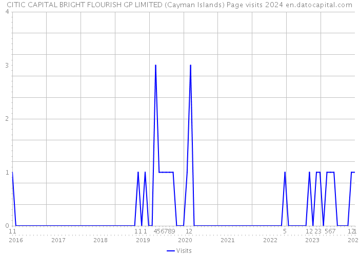 CITIC CAPITAL BRIGHT FLOURISH GP LIMITED (Cayman Islands) Page visits 2024 