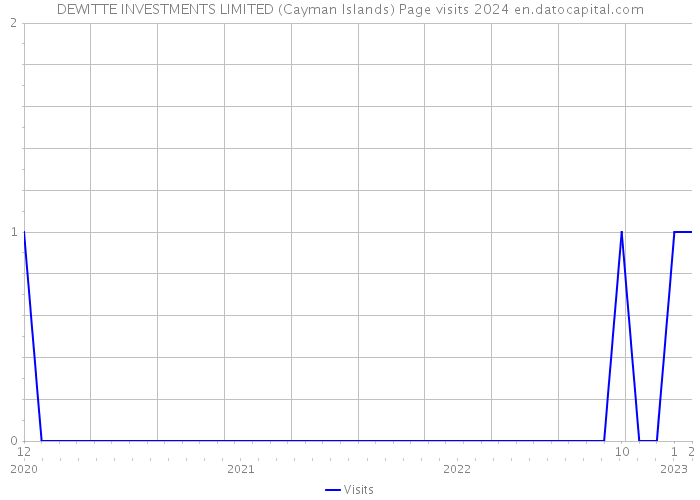 DEWITTE INVESTMENTS LIMITED (Cayman Islands) Page visits 2024 