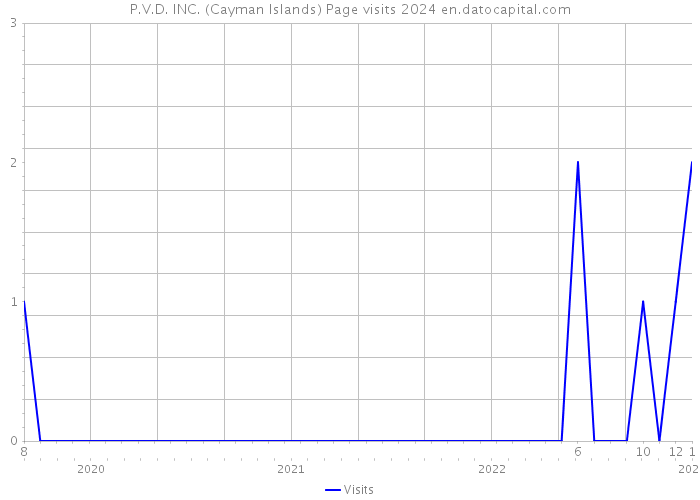 P.V.D. INC. (Cayman Islands) Page visits 2024 
