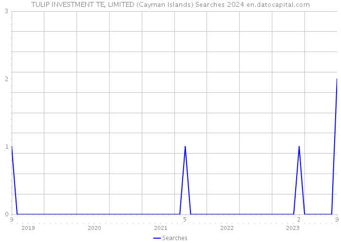 TULIP INVESTMENT TE, LIMITED (Cayman Islands) Searches 2024 