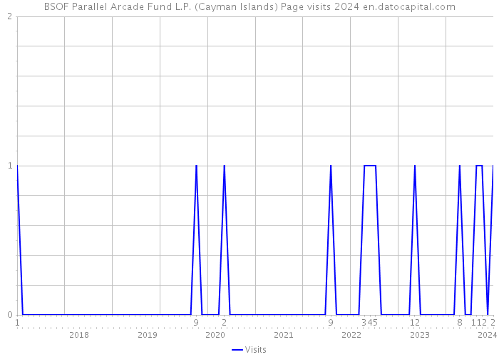 BSOF Parallel Arcade Fund L.P. (Cayman Islands) Page visits 2024 