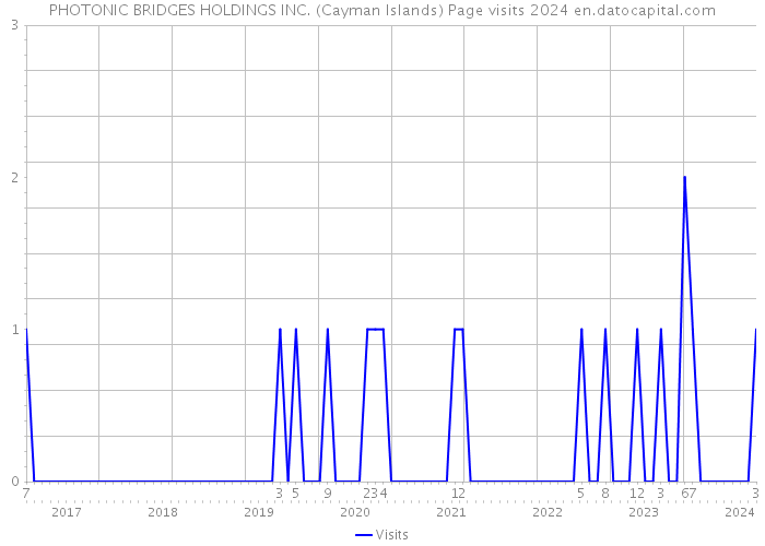 PHOTONIC BRIDGES HOLDINGS INC. (Cayman Islands) Page visits 2024 