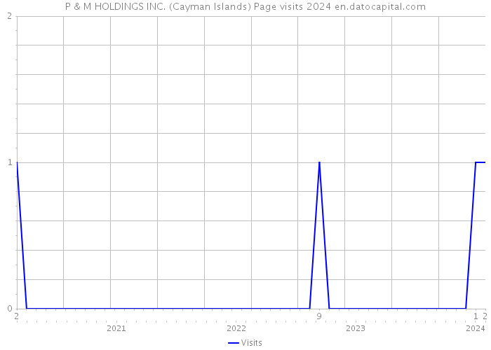 P & M HOLDINGS INC. (Cayman Islands) Page visits 2024 