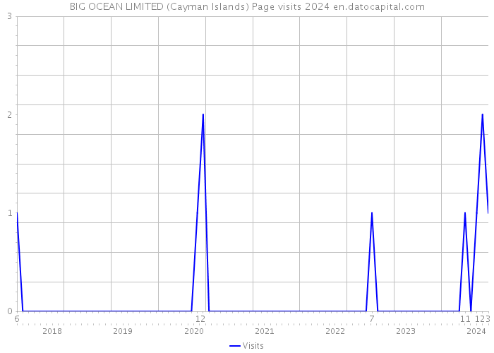 BIG OCEAN LIMITED (Cayman Islands) Page visits 2024 