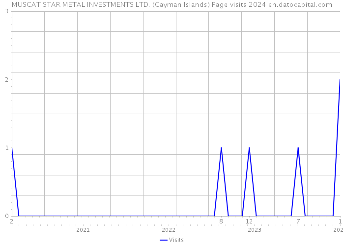 MUSCAT STAR METAL INVESTMENTS LTD. (Cayman Islands) Page visits 2024 