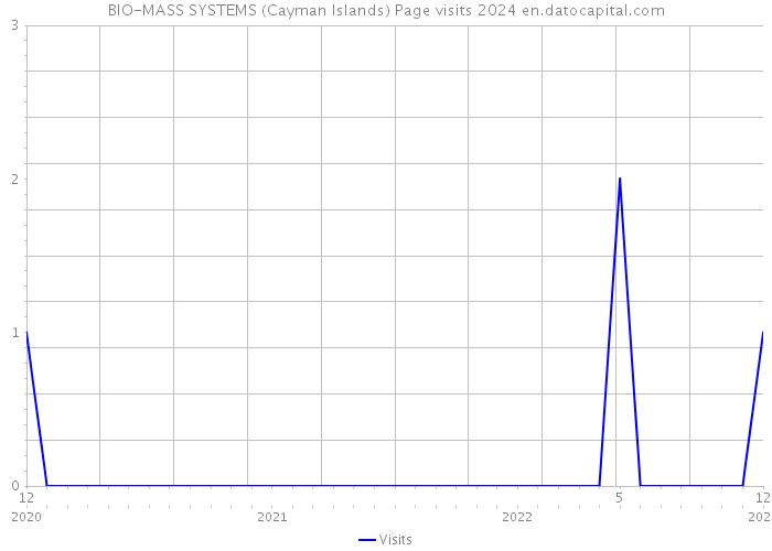 BIO-MASS SYSTEMS (Cayman Islands) Page visits 2024 