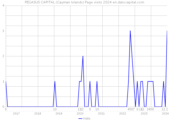 PEGASUS CAPITAL (Cayman Islands) Page visits 2024 
