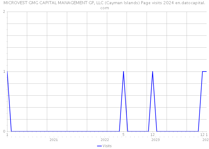 MICROVEST GMG CAPITAL MANAGEMENT GP, LLC (Cayman Islands) Page visits 2024 