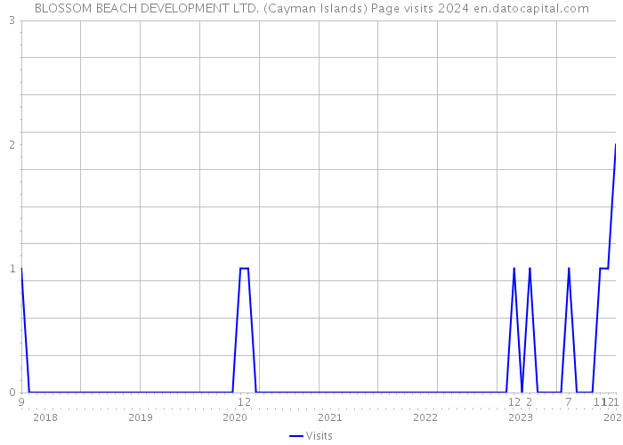 BLOSSOM BEACH DEVELOPMENT LTD. (Cayman Islands) Page visits 2024 