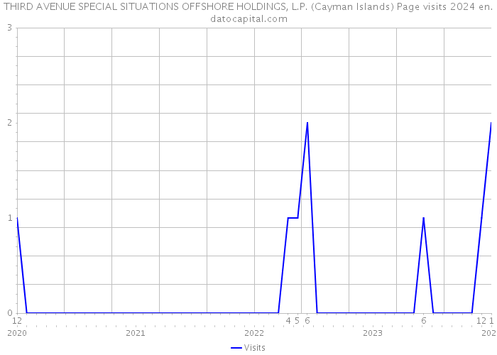 THIRD AVENUE SPECIAL SITUATIONS OFFSHORE HOLDINGS, L.P. (Cayman Islands) Page visits 2024 