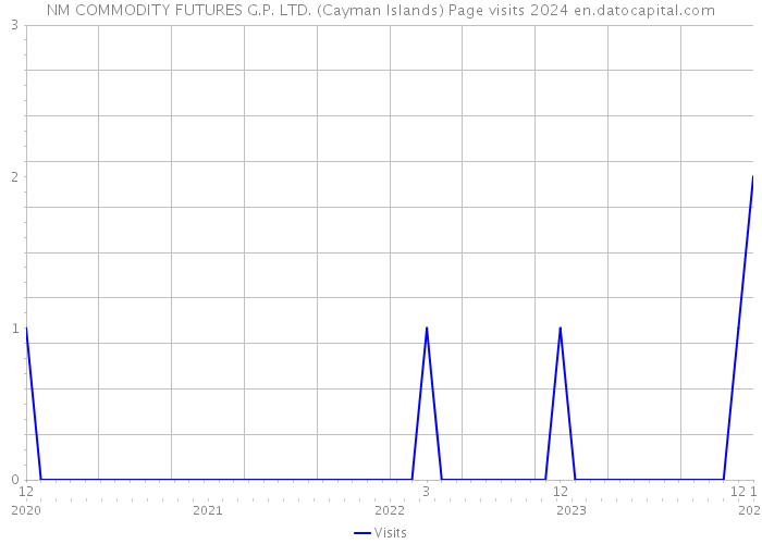 NM COMMODITY FUTURES G.P. LTD. (Cayman Islands) Page visits 2024 