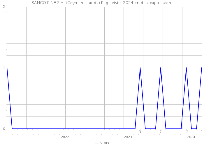 BANCO PINE S.A. (Cayman Islands) Page visits 2024 