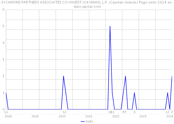 SYCAMORE PARTNERS ASSOCIATES CO-INVEST (CAYMAN), L.P. (Cayman Islands) Page visits 2024 