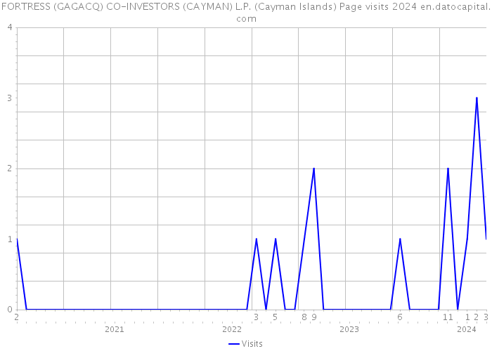 FORTRESS (GAGACQ) CO-INVESTORS (CAYMAN) L.P. (Cayman Islands) Page visits 2024 