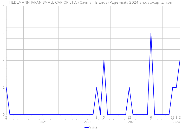 TIEDEMANN JAPAN SMALL CAP QP LTD. (Cayman Islands) Page visits 2024 