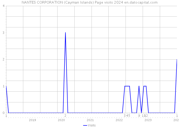 NANTES CORPORATION (Cayman Islands) Page visits 2024 