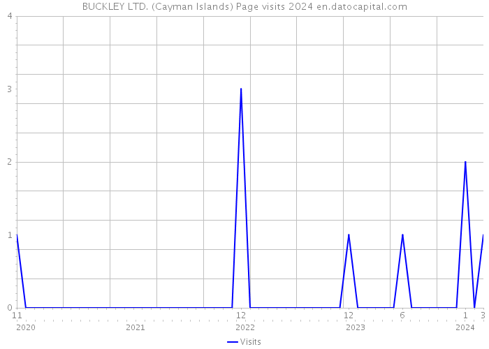BUCKLEY LTD. (Cayman Islands) Page visits 2024 