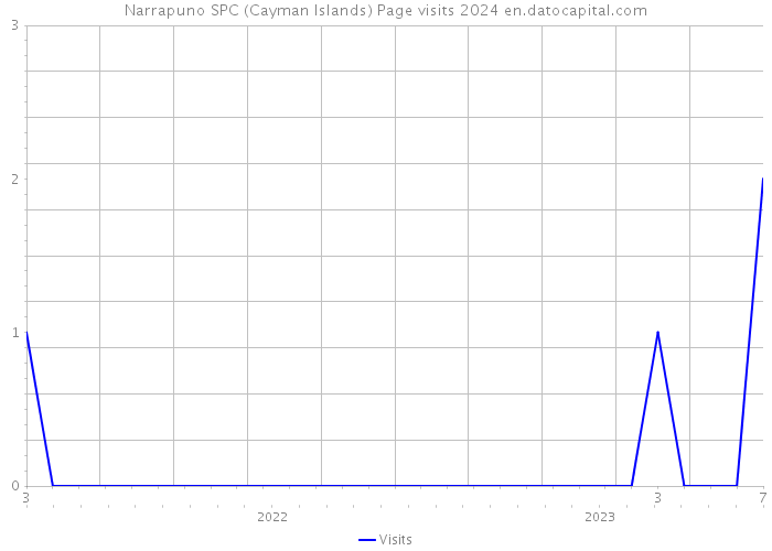 Narrapuno SPC (Cayman Islands) Page visits 2024 