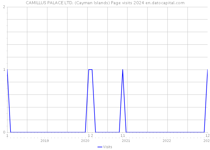 CAMILLUS PALACE LTD. (Cayman Islands) Page visits 2024 