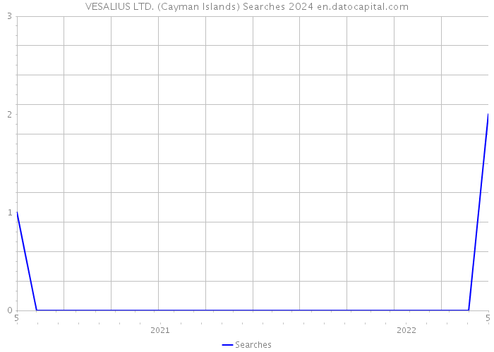 VESALIUS LTD. (Cayman Islands) Searches 2024 