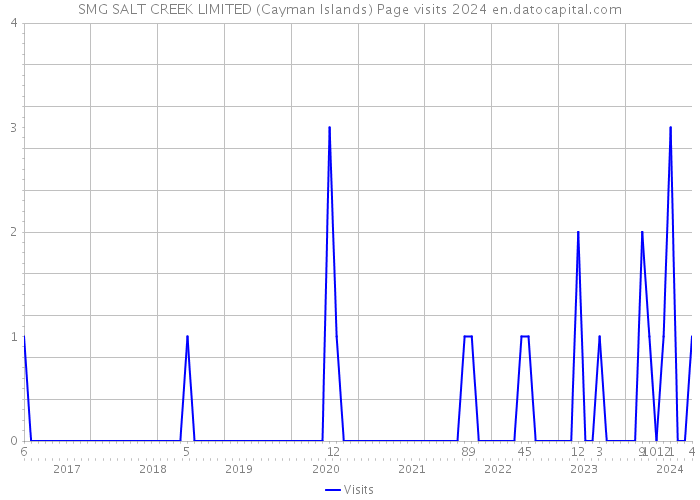 SMG SALT CREEK LIMITED (Cayman Islands) Page visits 2024 