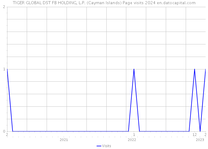 TIGER GLOBAL DST FB HOLDING, L.P. (Cayman Islands) Page visits 2024 