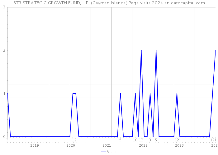 BTR STRATEGIC GROWTH FUND, L.P. (Cayman Islands) Page visits 2024 