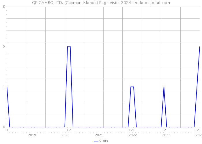 QP CAMBO LTD. (Cayman Islands) Page visits 2024 