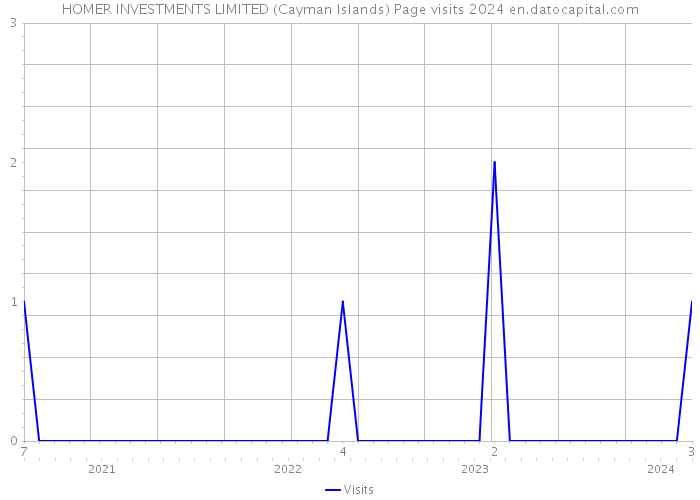 HOMER INVESTMENTS LIMITED (Cayman Islands) Page visits 2024 