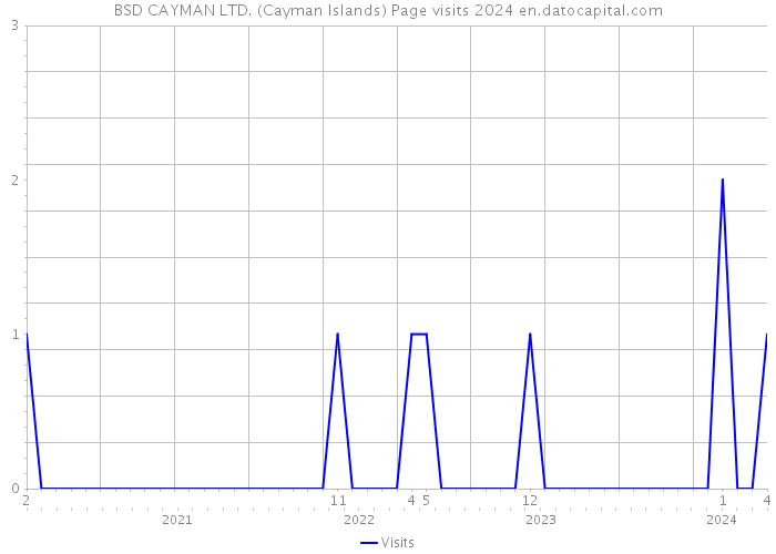 BSD CAYMAN LTD. (Cayman Islands) Page visits 2024 