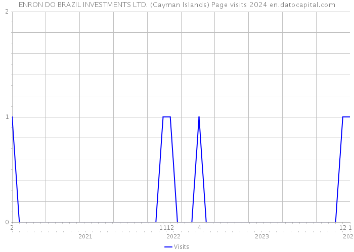 ENRON DO BRAZIL INVESTMENTS LTD. (Cayman Islands) Page visits 2024 