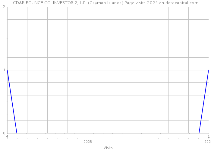 CD&R BOUNCE CO-INVESTOR 2, L.P. (Cayman Islands) Page visits 2024 
