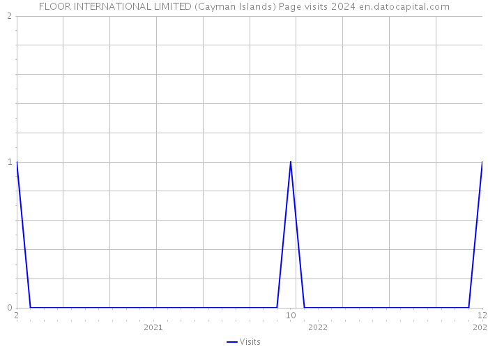 FLOOR INTERNATIONAL LIMITED (Cayman Islands) Page visits 2024 