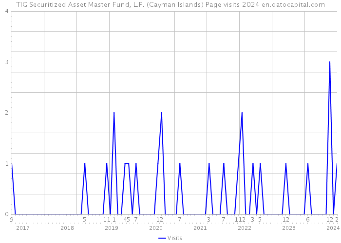 TIG Securitized Asset Master Fund, L.P. (Cayman Islands) Page visits 2024 
