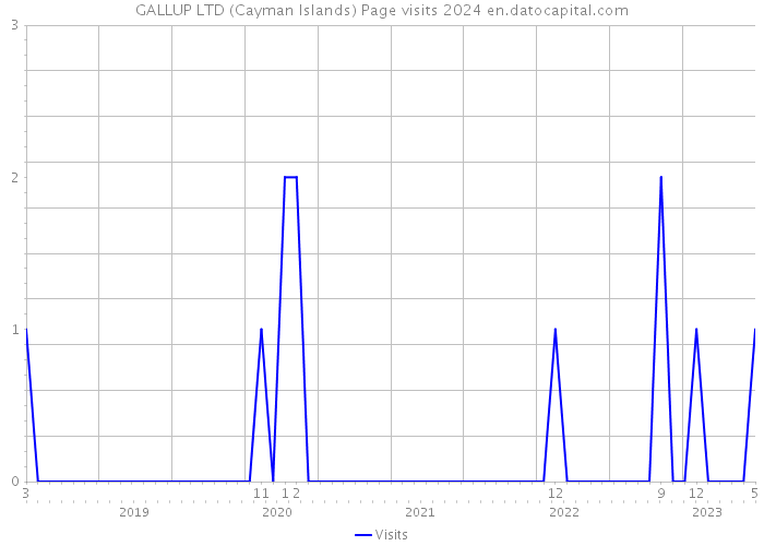 GALLUP LTD (Cayman Islands) Page visits 2024 