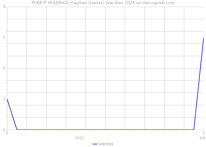 PURE IP HOLDINGS (Cayman Islands) Searches 2024 