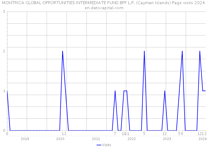 MONTRICA GLOBAL OPPORTUNITIES INTERMEDIATE FUND BPF L.P. (Cayman Islands) Page visits 2024 