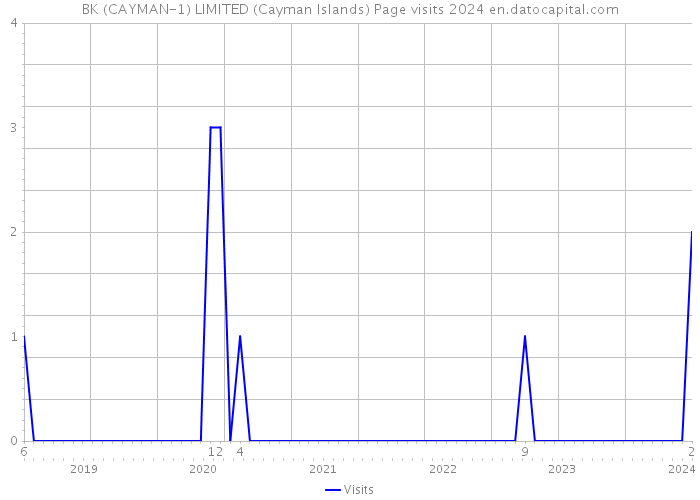 BK (CAYMAN-1) LIMITED (Cayman Islands) Page visits 2024 