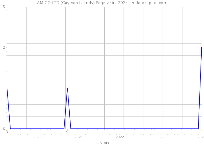 AMICO LTD (Cayman Islands) Page visits 2024 