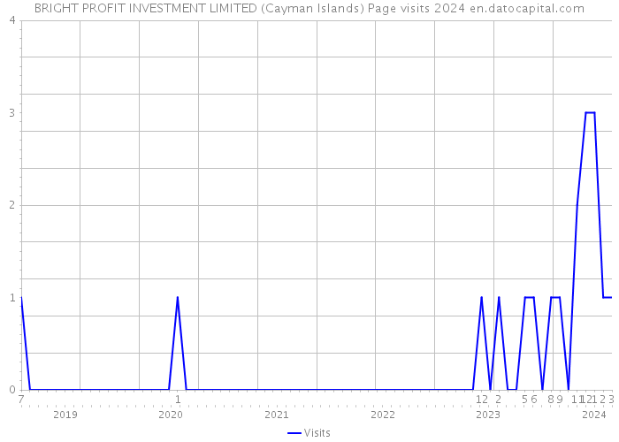 BRIGHT PROFIT INVESTMENT LIMITED (Cayman Islands) Page visits 2024 