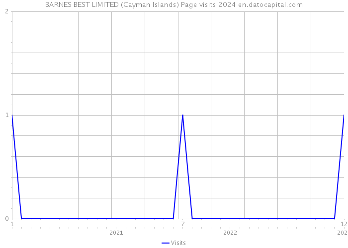 BARNES BEST LIMITED (Cayman Islands) Page visits 2024 