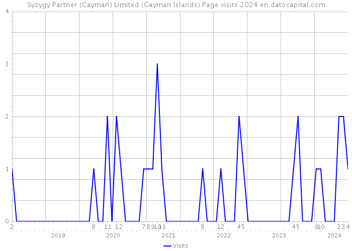 Syzygy Partner (Cayman) Limited (Cayman Islands) Page visits 2024 